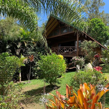 Le Nirvana - Oasis De Tendea - Farino Ngoại thất bức ảnh
