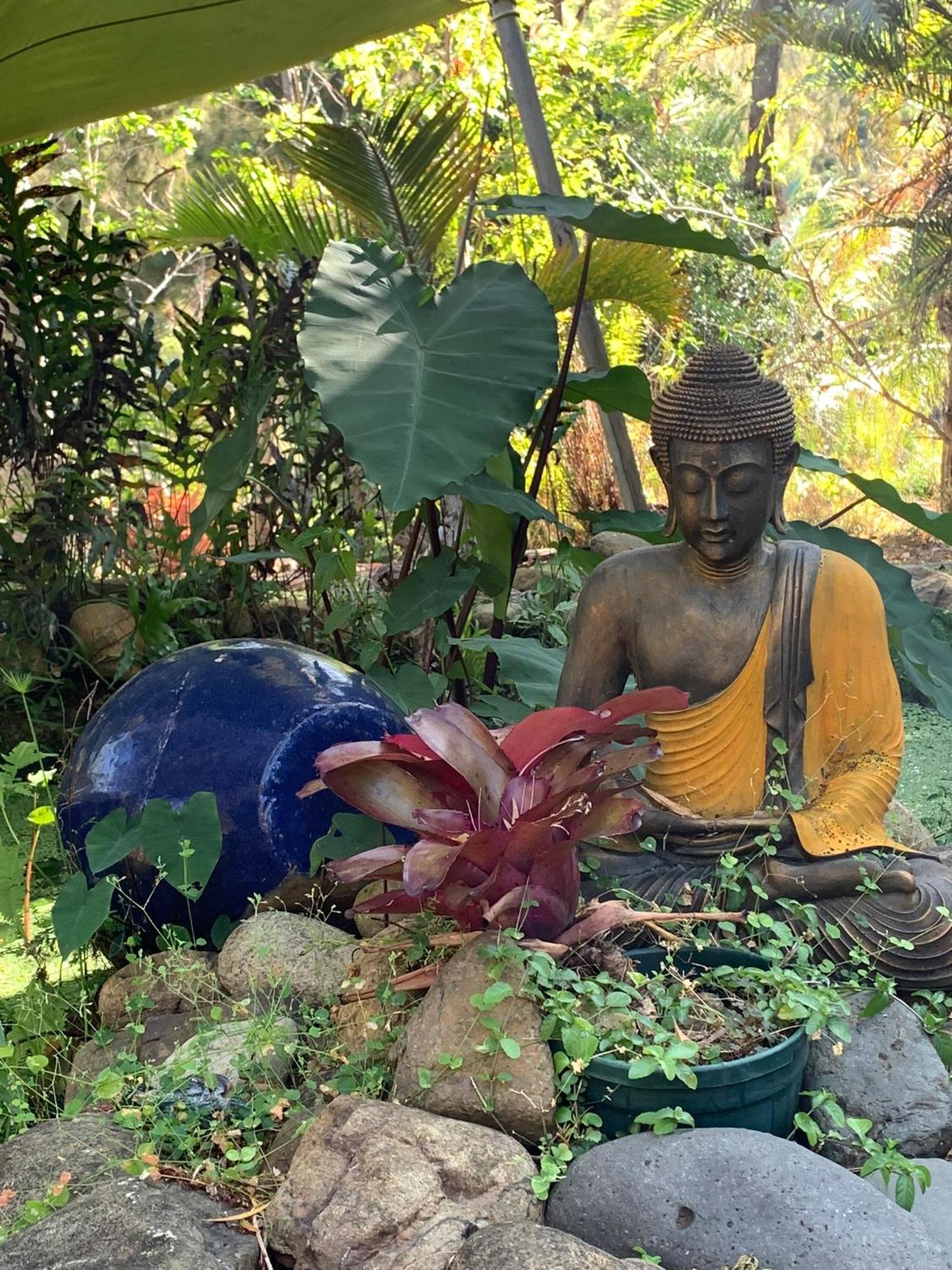 Le Nirvana - Oasis De Tendea - Farino Ngoại thất bức ảnh